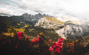 Preview wallpaper mountains, flowers, clouds, peaks, height