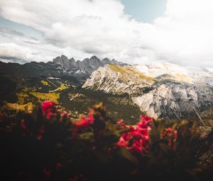 Preview wallpaper mountains, flowers, clouds, peaks, height