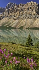 Preview wallpaper mountains, flowers, lake, canada, reflection, mirror