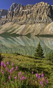 Preview wallpaper mountains, flowers, lake, canada, reflection, mirror