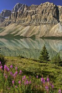 Preview wallpaper mountains, flowers, lake, canada, reflection, mirror