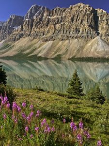 Preview wallpaper mountains, flowers, lake, canada, reflection, mirror