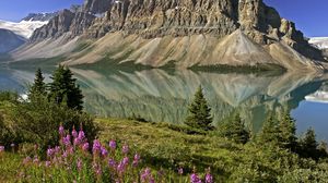 Preview wallpaper mountains, flowers, lake, canada, reflection, mirror