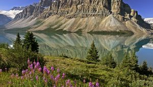 Preview wallpaper mountains, flowers, lake, canada, reflection, mirror