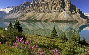 Preview wallpaper mountains, flowers, lake, canada, reflection, mirror