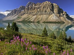 Preview wallpaper mountains, flowers, lake, canada, reflection, mirror