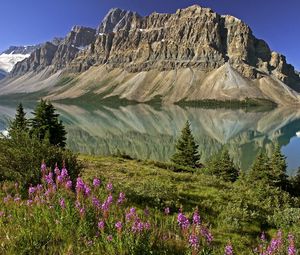 Preview wallpaper mountains, flowers, lake, canada, reflection, mirror