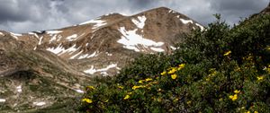 Preview wallpaper mountains, flowers, landscape, nature