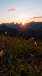 Preview wallpaper mountains, flowers, rays, sun