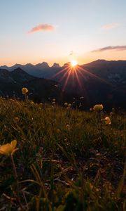 Preview wallpaper mountains, flowers, rays, sun