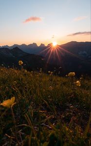 Preview wallpaper mountains, flowers, rays, sun