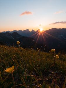 Preview wallpaper mountains, flowers, rays, sun