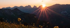 Preview wallpaper mountains, flowers, rays, sun
