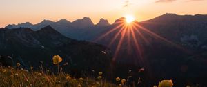 Preview wallpaper mountains, flowers, rays, sun
