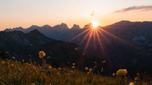 Preview wallpaper mountains, flowers, rays, sun