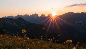 Preview wallpaper mountains, flowers, rays, sun