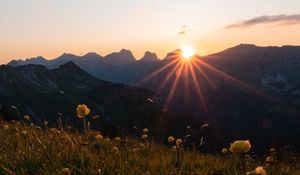 Preview wallpaper mountains, flowers, rays, sun