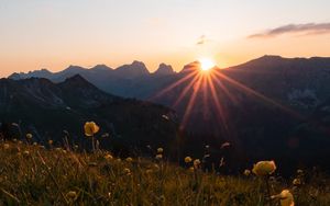 Preview wallpaper mountains, flowers, rays, sun