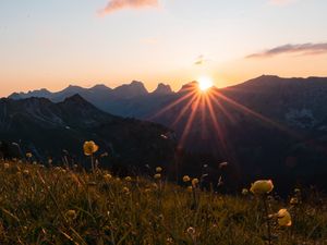 Preview wallpaper mountains, flowers, rays, sun