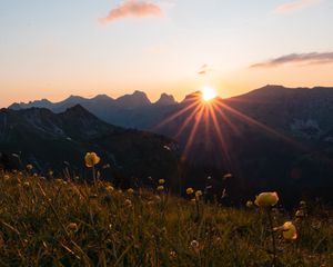 Preview wallpaper mountains, flowers, rays, sun