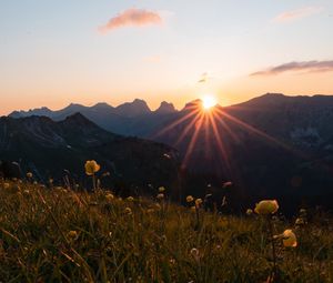 Preview wallpaper mountains, flowers, rays, sun