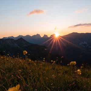 Preview wallpaper mountains, flowers, rays, sun