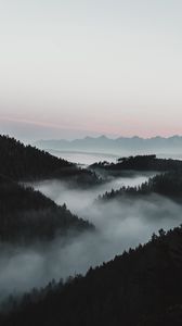 Preview wallpaper mountains, fog, aerial view, forest, dusk