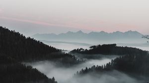 Preview wallpaper mountains, fog, aerial view, forest, dusk