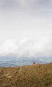 Preview wallpaper mountains, fog, animal, goat, wildlife