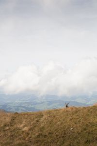 Preview wallpaper mountains, fog, animal, goat, wildlife