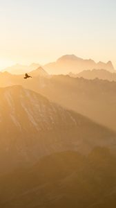 Preview wallpaper mountains, fog, bird, flight, nature