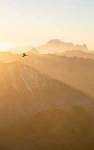 Preview wallpaper mountains, fog, bird, flight, nature