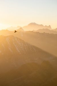 Preview wallpaper mountains, fog, bird, flight, nature