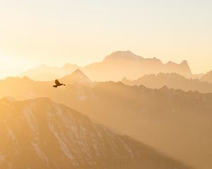 Preview wallpaper mountains, fog, bird, flight, nature