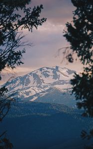 Preview wallpaper mountains, fog, branches, peak, snowy, bridgeport, usa