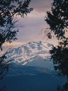 Preview wallpaper mountains, fog, branches, peak, snowy, bridgeport, usa