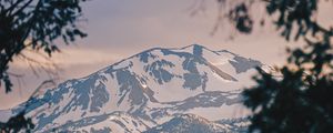 Preview wallpaper mountains, fog, branches, peak, snowy, bridgeport, usa
