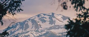 Preview wallpaper mountains, fog, branches, peak, snowy, bridgeport, usa