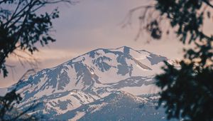 Preview wallpaper mountains, fog, branches, peak, snowy, bridgeport, usa