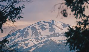 Preview wallpaper mountains, fog, branches, peak, snowy, bridgeport, usa