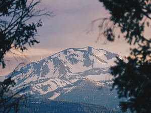 Preview wallpaper mountains, fog, branches, peak, snowy, bridgeport, usa