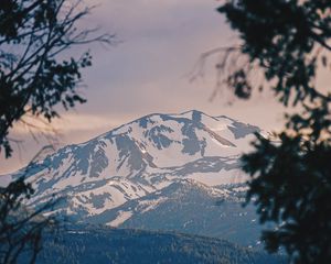 Preview wallpaper mountains, fog, branches, peak, snowy, bridgeport, usa