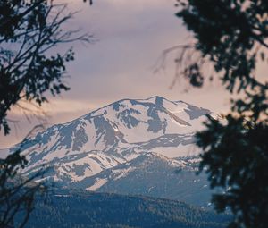 Preview wallpaper mountains, fog, branches, peak, snowy, bridgeport, usa