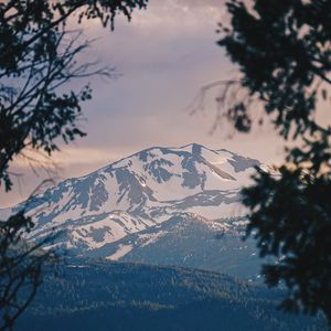 Preview wallpaper mountains, fog, branches, peak, snowy, bridgeport, usa