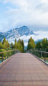 Preview wallpaper mountains, fog, bridge, distance, forest