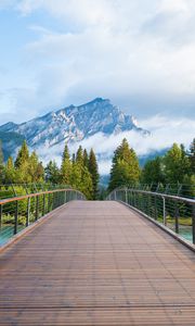 Preview wallpaper mountains, fog, bridge, distance, forest