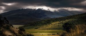 Preview wallpaper mountains, fog, clouds, top, grass, landscape