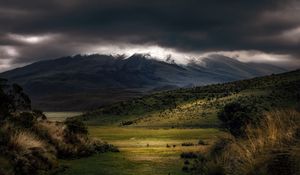 Preview wallpaper mountains, fog, clouds, top, grass, landscape