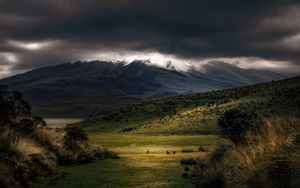 Preview wallpaper mountains, fog, clouds, top, grass, landscape