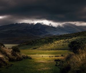 Preview wallpaper mountains, fog, clouds, top, grass, landscape